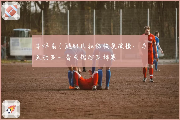 李梓嘉小腿肌肉拉伤恢复缓慢，马来西亚一哥或错过亚锦赛