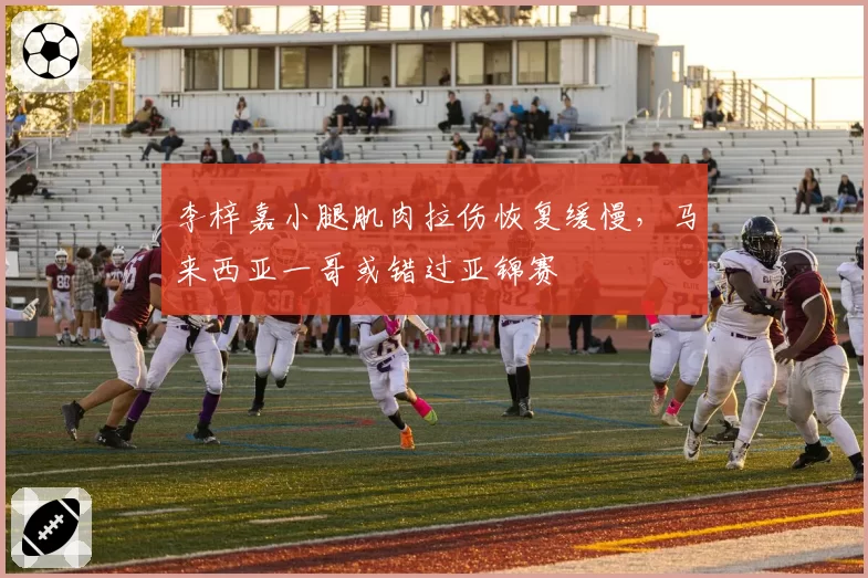 李梓嘉小腿肌肉拉伤恢复缓慢，马来西亚一哥或错过亚锦赛